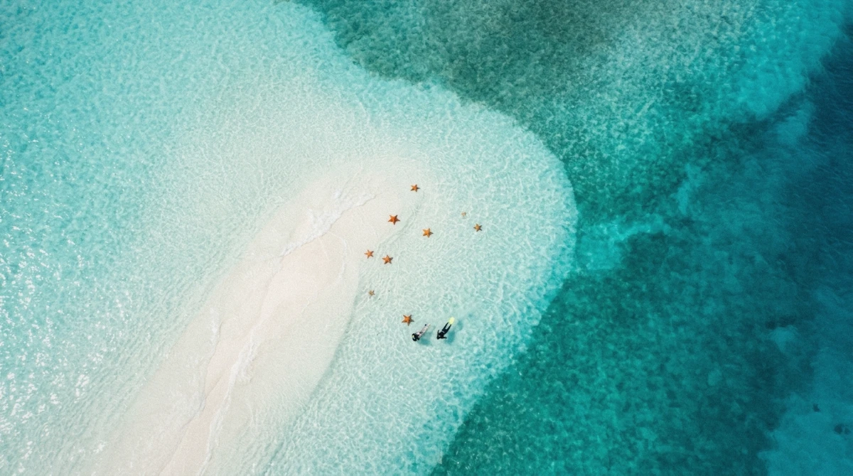Aerial view of the shallow El Cielo turquoise sandbar with scattered starfish on a budget Cozumel El Cielo snorkeling tour