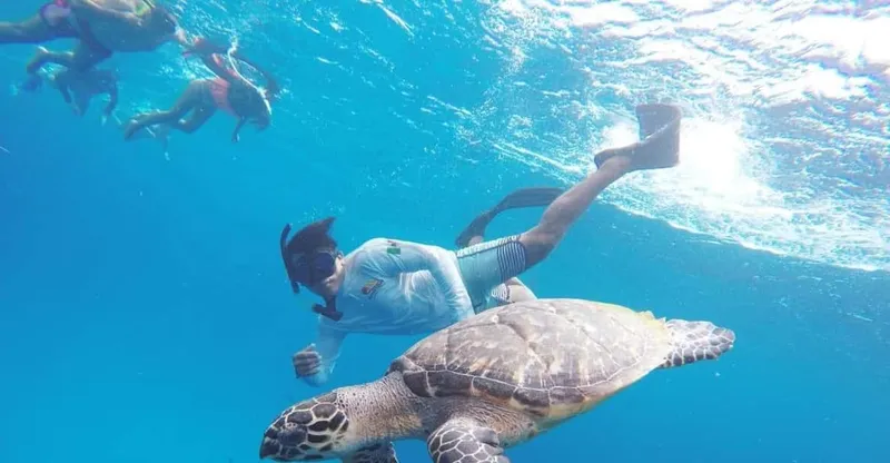 Snorkelers floating over a vivid coral reef with tropical fish on a Cozumel snorkeling tour to Palancar, Columbia and El Cielo reefs