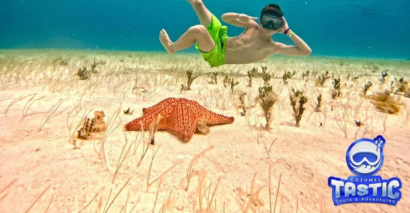 A snorkel boat anchored over clear turquoise water above Palancar reef on a four-reef Cozumel snorkeling tour with hotel dock pickup