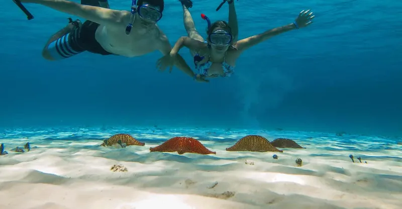 Snorkelers above the dramatic coral of Palancar reef on a Cozumel snorkeling tour of Palancar, Columbia and El Cielo